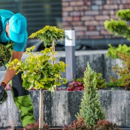 Agrotekstilės tvirtas kilimėlis nuo piktžolių 80x40cm