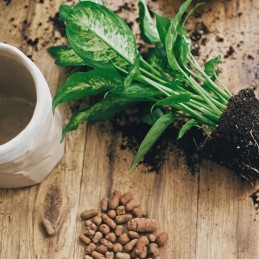 Agrotekstilės tvirtas kilimėlis nuo piktžolių 80x40cm