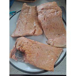 Balkoninė reguliuojama talpa + alksnio/buko drožlės 450g + kuras 1l biowin 330007