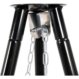 Grilis kabantis ant trikojo, židinys, laužas