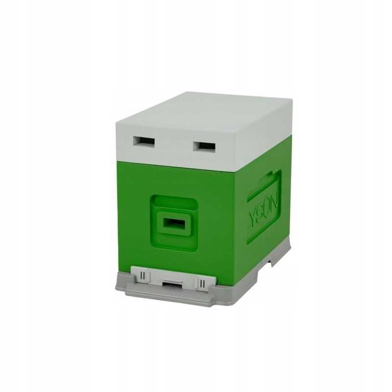 Laceration hive 6r, Wielkopolska, dažytas Lyson