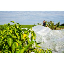 Balta agrotekstilė 1,5m 15g UV 30m bellushortus