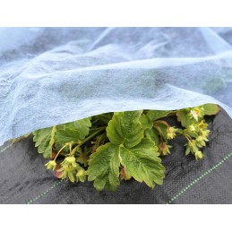 Balta agrotekstilė 1,5m 15g UV 30m bellushortus