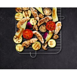 Grilis su anglimis su lentynomis, grotelės 53x33cm