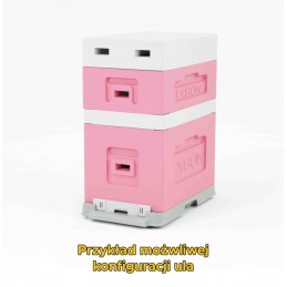 6-frame hive with frames, Greater Poland pink (roof, body, plastic bottom without plugs) - new