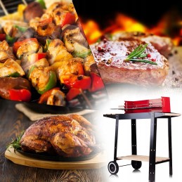 Portable charcoal garden grill 48 x 26 cm wheels two shelves rosin