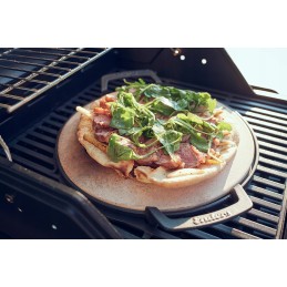 Enders jungiklio tinklelio picos akmuo, ketaus rankena, Enders dujinėms kepsninėms su grotelių sistema, grotelių priedais, Ender