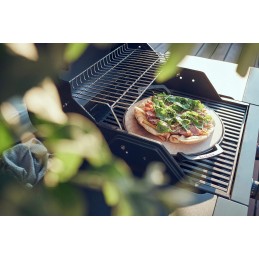 Enders jungiklio tinklelio picos akmuo, ketaus rankena, Enders dujinėms kepsninėms su grotelių sistema, grotelių priedais, Ender