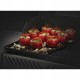 Napoleono ketaus plokštė, padengta laisvo stiliaus porcelianu