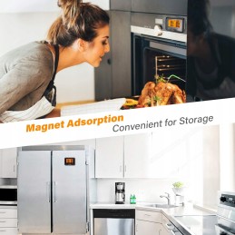 Inkbird grilio termometras