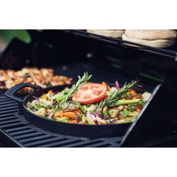 Enders jungiklio tinklelio keptuvė, ketaus, skirta Enders dujinėms kepsninėms su grotelių sistema grotelėse, grotelių priedai, E