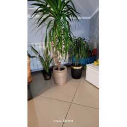 Džiuto audinio 30 cm džiuto stalo bėgikas metrais