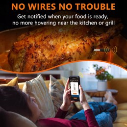 Bluetooth belaidis grilio termometras su išmaniuoju airmsen zondu