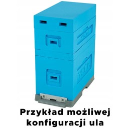 ul dadant 6 kadras