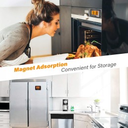 Inkbird ibbq-4bw belaidis