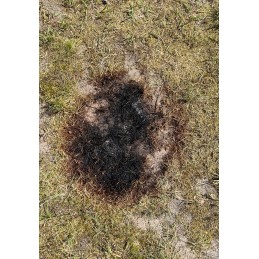 Didelis sodo židinys 80 cm kepsninei