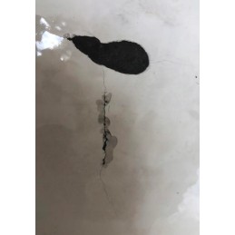 3 viename emaliuotas ketaus puodas, 10l, dangtis, grilio funkcija, ugnies puodas