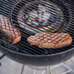 Grilio temperatūros reguliatorius