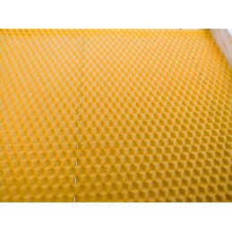 Didžiosios Lenkijos lizdo rėmai iš fv hoffman žarnos, Didžiosios Lenkijos rėmas