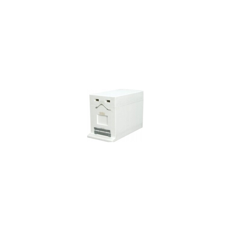 Wielkopolski 6-frame hive for raising packages, unpainted