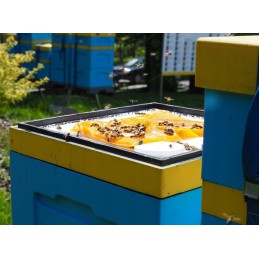 Apikand 20kg pyragas su žiedadulkėmis, maistas bitėms