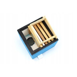 Mini-ul mini plus two-family with frames painted