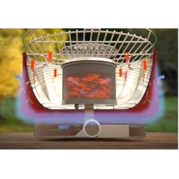 Automatinis anglies grilis