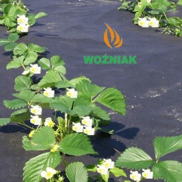 agrimpex dual-agro agrotekstilė 1,6 mx 5 m 50 g/m2