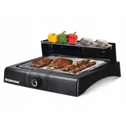 ⭐⭐Didelė statoma elektrinė kepsninė 2000w 2in1⭐⭐