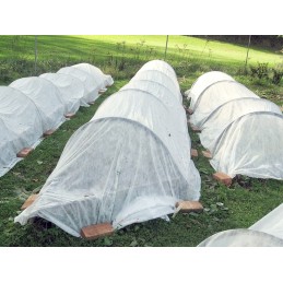 Agrotekstilė rudeninis žieminis baltas užvalkalas 50g 1,6m x 10m