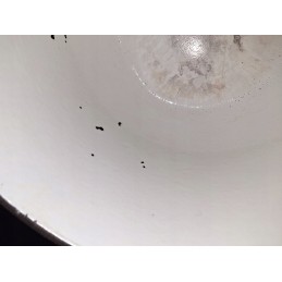 Ketaus el. paštu atsiųstas medžioklės puodas su Rossner grotelėmis, 8l, 3in1