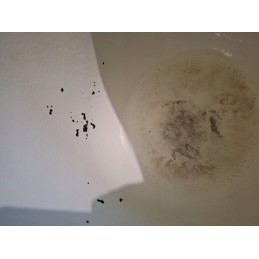 Emaliuotas ketaus virdulys, 8l, 3in1 medžioklės puodas