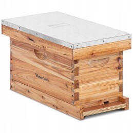 Bičių avilys - 2 rėmeliai ir apatinė kasetė su įėjimo anga