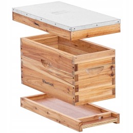 Bičių avilys - 2 rėmeliai ir apatinė kasetė su įėjimo anga