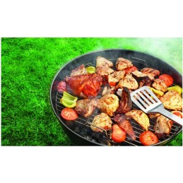 Anglies kepsninė briketams, uždara, dangtis, BBQ virdulys, lentyna