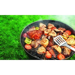 Anglies kepsninė briketams, uždara, dangtis, BBQ virdulys, lentyna