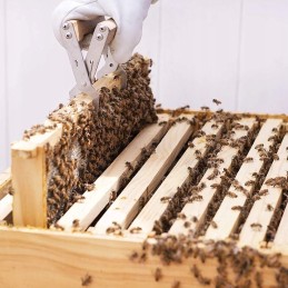 11 dalių bitininkystės rinkinys, puikiai tinkantis kiekvienam bitininkui.