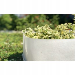 Balta agrotekstilė 50g pavasarinė žemės danga mulčiavimas nuo piktžolių 3,2x5 m