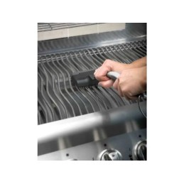 Napoleono plieno grilio šepetys