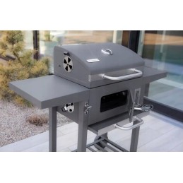 Profesionali sodo kepsninė su anglimis + lentynos + peleninė + dangtis + grotelės