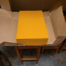 Bičių gyvatė 5 kg