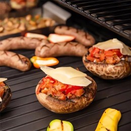 „Broil King Signet 11221“ ketaus kepsninė