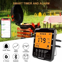 Grilio termometras su 4 spalvingais išmaniaisiais zondais