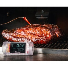 Grilleye max – startinis paketas