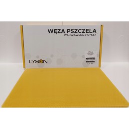 Węza Warszawska nuolatinis