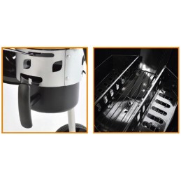 Sferinės anglies kepsninės