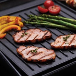 „Broil king“ ketaus antspaudo vainiko plokštė