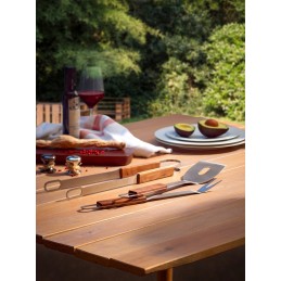 Plytų kepsnių rinkinys