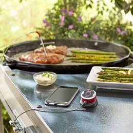 Weber igrill mini termometras