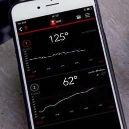 Weber igrill mini termometras